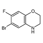 RHAWN 6-Bromo-7-fluoro-3,4-dihydro-2H-1,4-benzoxazine