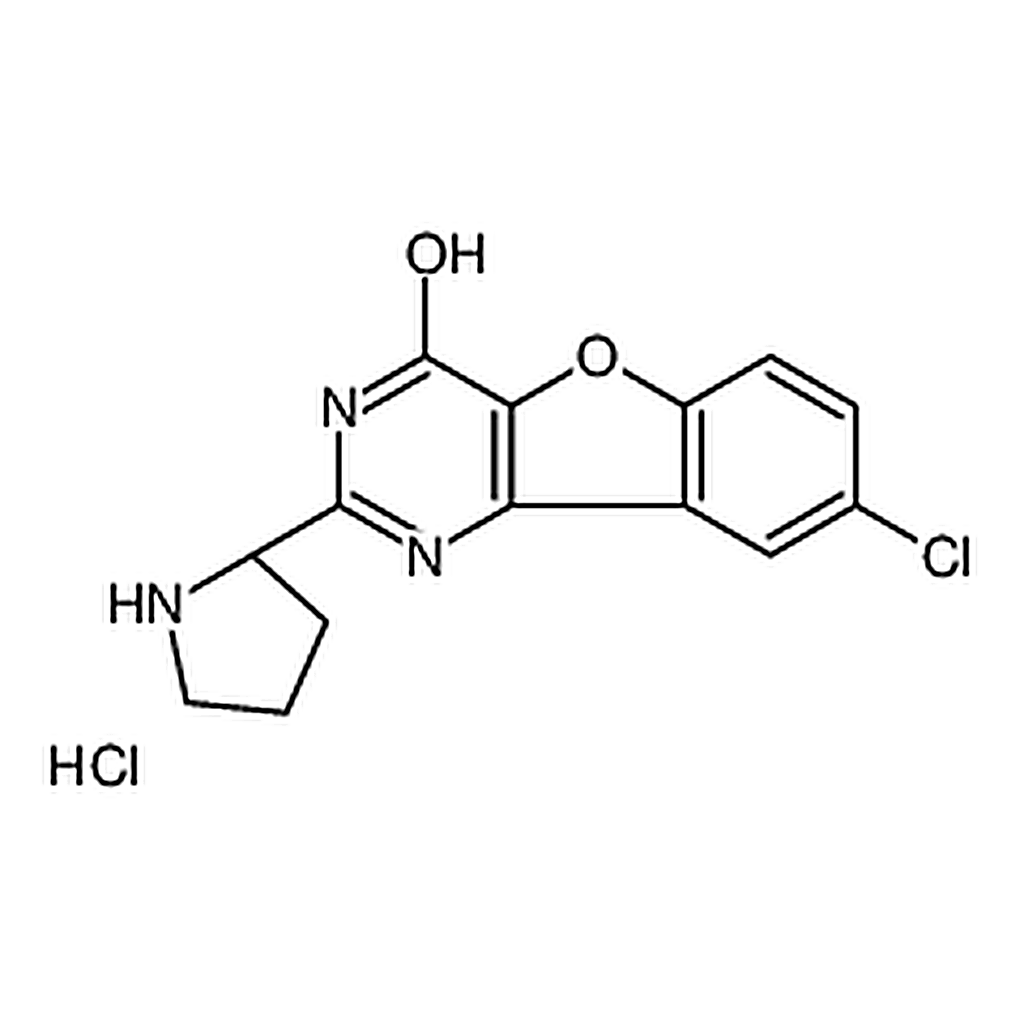 RHAWN XL413 xhydrochloride