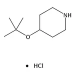 RHAWN 4-(tert-Butoxy)cyclohexanamine hydrochloride