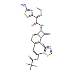 RHAWN Cefditoren pivoxil