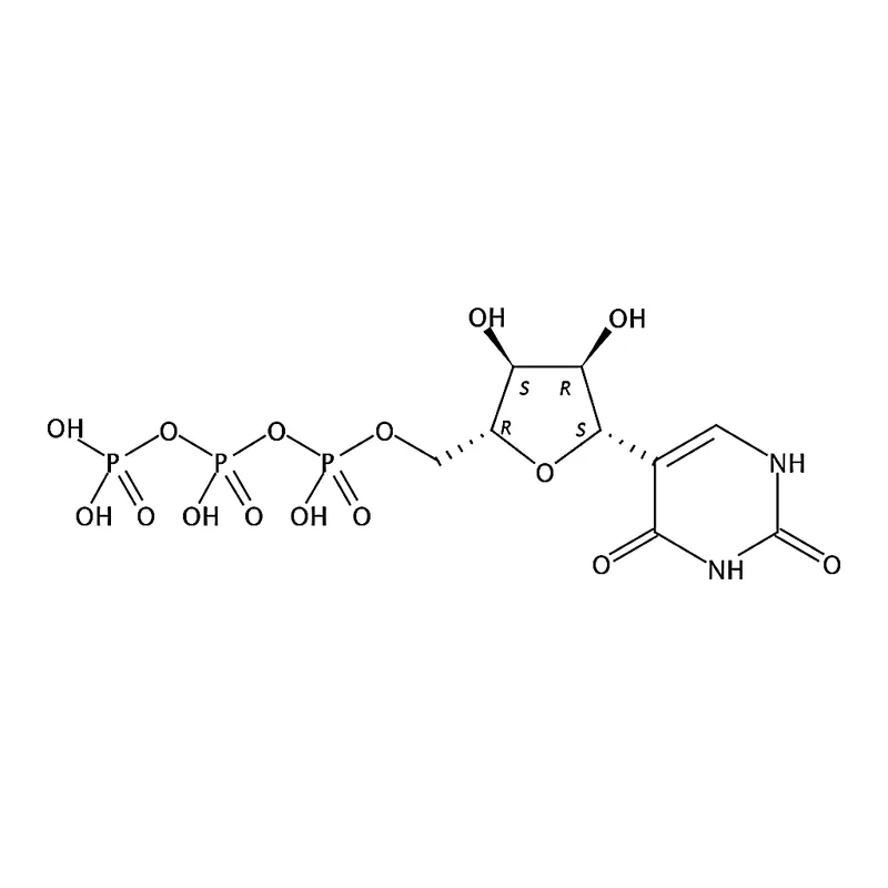 RHAWN Pseudouridine-5▽-triphosphate Sodium Salt
