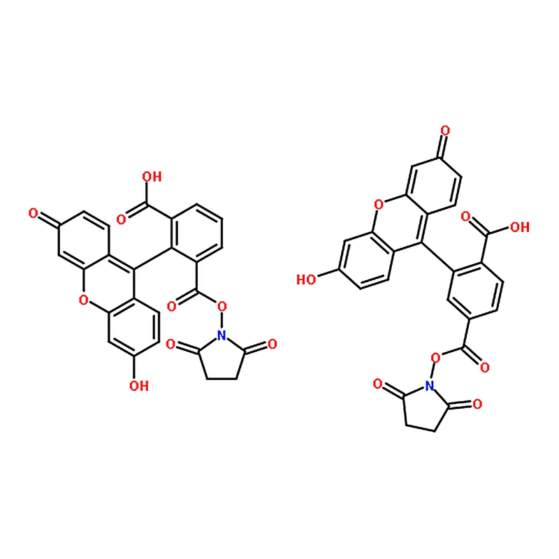 RHAWN 5(6)-Carboxyfluorescein N-hydroxysuccinimide ester