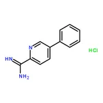 RHAWN 5-Phenylpicolinimidamide hydrochloride