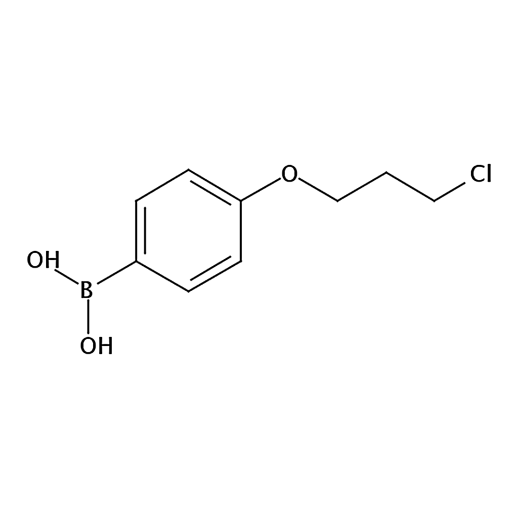 RHAWN (4-(3-Chloropropoxy)phenyl)boronic acid