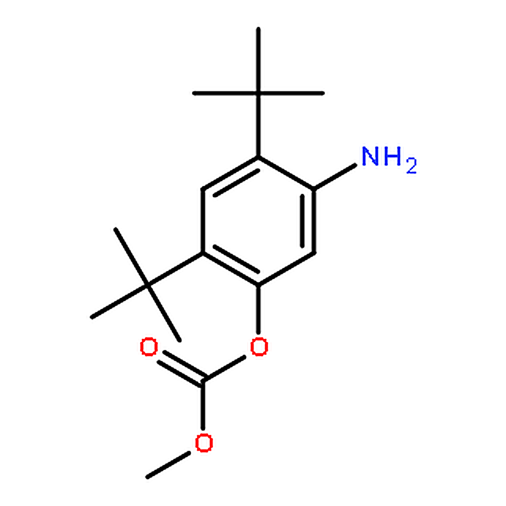 RHAWN 5-Amino-2,4-di-tert-butylphenyl methyl carbonate