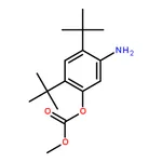 RHAWN 5-Amino-2,4-di-tert-butylphenyl methyl carbonate