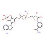 RHAWN -Nicotinamide adenine dinucleotide phosphate sodium salt hydrate
