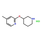 RHAWN 4-Methyl-2-(piperidin-3-yloxy)-pyridinehydrochloride