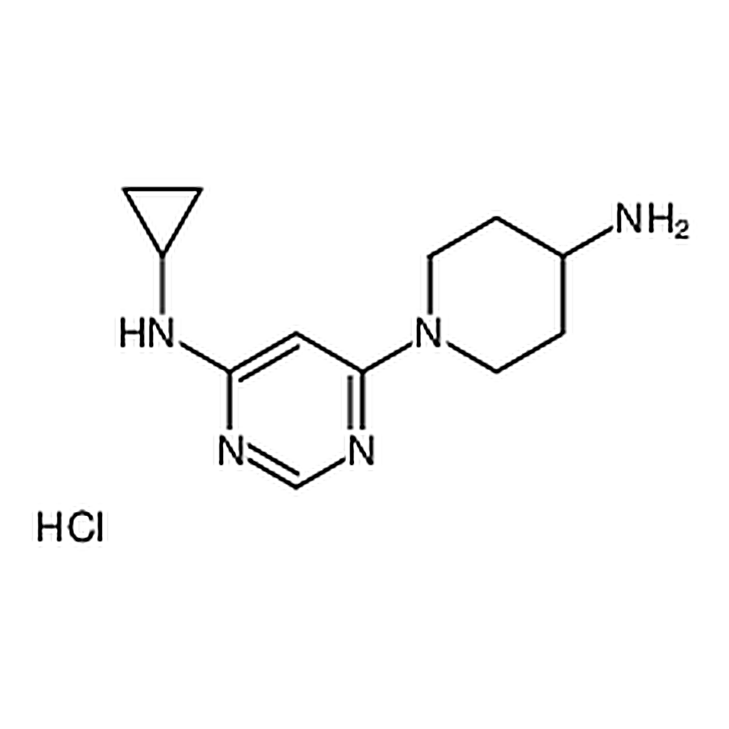RHAWN [6-(4-Amino-piperidin-1-yl)-pyrimidin-4-yl]-cyclopropyl-aminehydrochloride