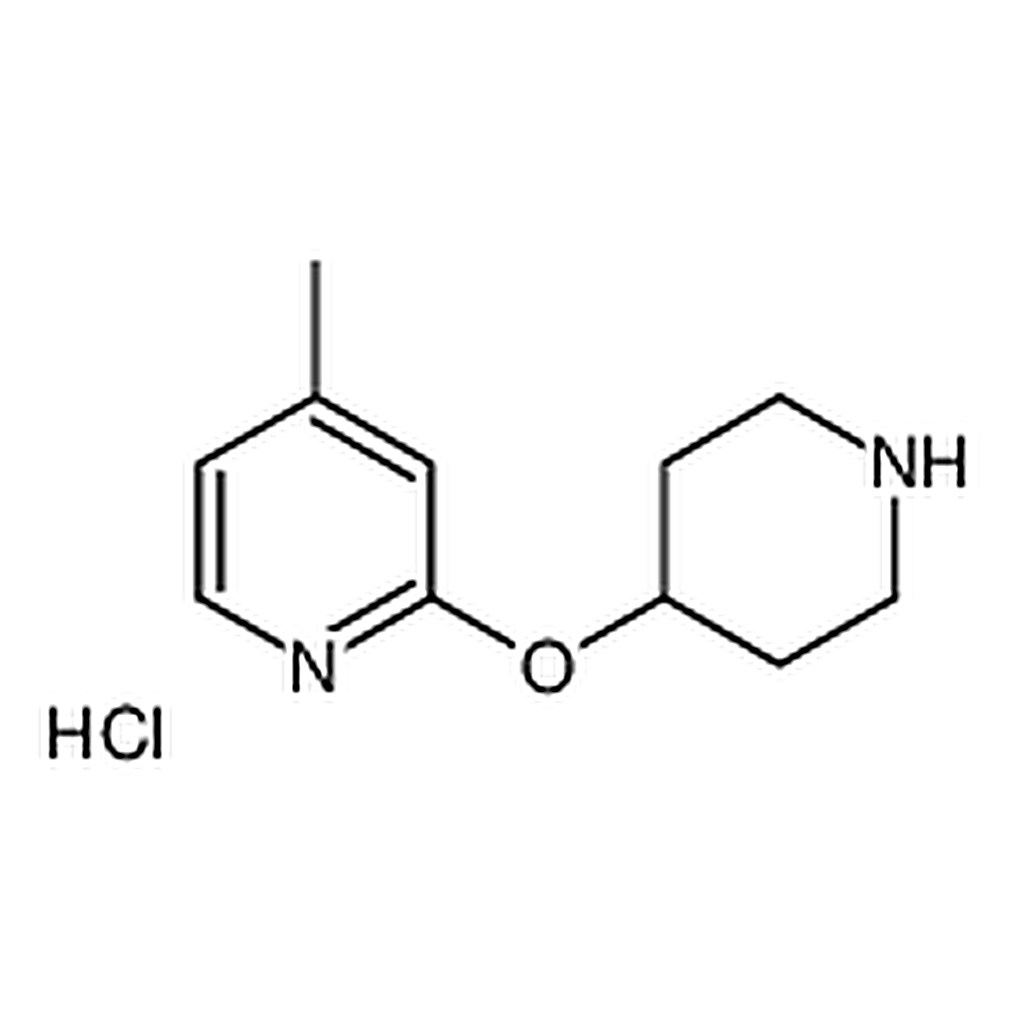 RHAWN 4-Methyl-2-(piperidin-4-yloxy)-pyridinehydrochloride