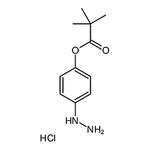 RHAWN 4-Hydrazinylphenyl pivalate hydrochloride