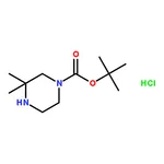 RHAWN Tert-Butyl 3,3-Dimethylpiperazine-1-Carboxylate Hydrochloride