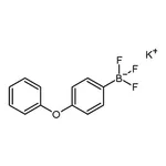 RHAWN potassium trifluoro(4-phenoxyphenyl)borate