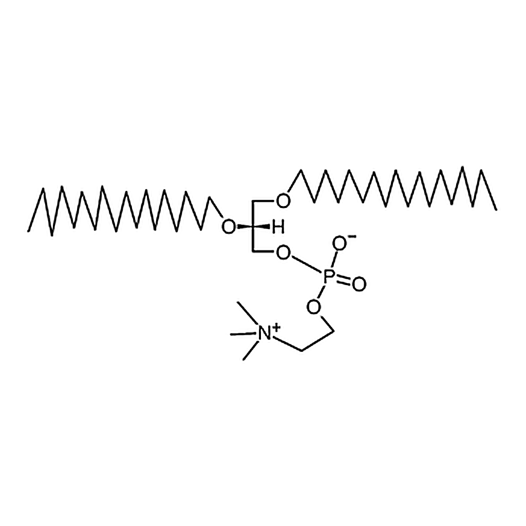 RHAWN 1,2-di-O-octadecyl-sn-glycero-3-phosphocholine
