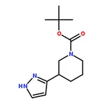 RHAWN tert-Butyl 3-(1H-pyrazol-3-yl)piperidine-1-carboxylate