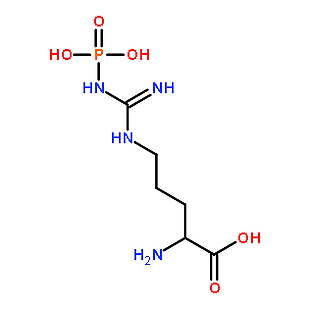 RHAWN N┺-Phospho-L-arginine lithium salt hydrate