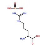 RHAWN N┺-Phospho-L-arginine lithium salt hydrate