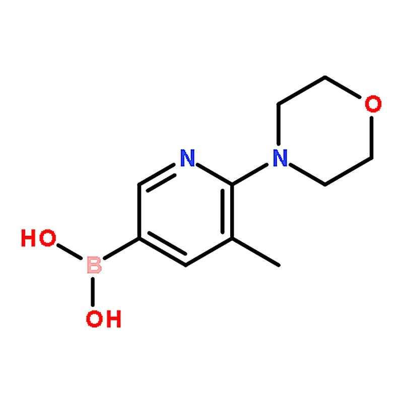 RHAWN (5-Methyl-6-morpholinopyridin-3-yl)boronic acid