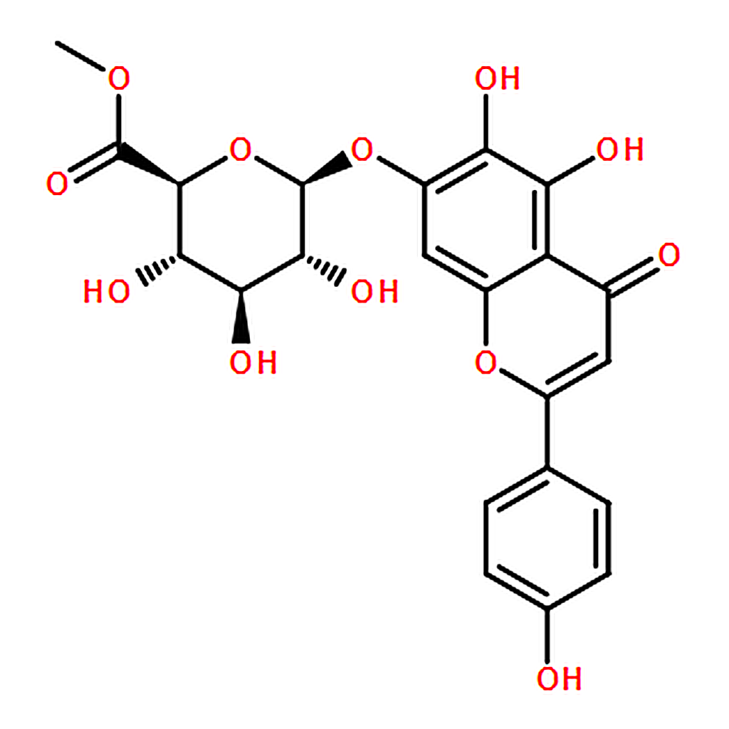 RHAWN Scutellarin Methyl Ester