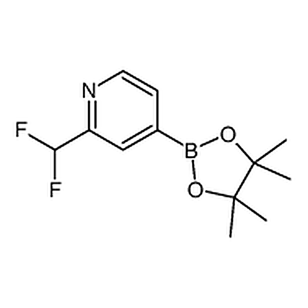 RHAWN 2-(Difluoromethyl)-4-(4，4，5，5-tetramethyl-1，3，2-dioxaborolan-2-yl)pyridine