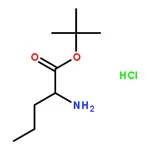 RHAWN L-Norvaline tert.butyl ester hydrochloride