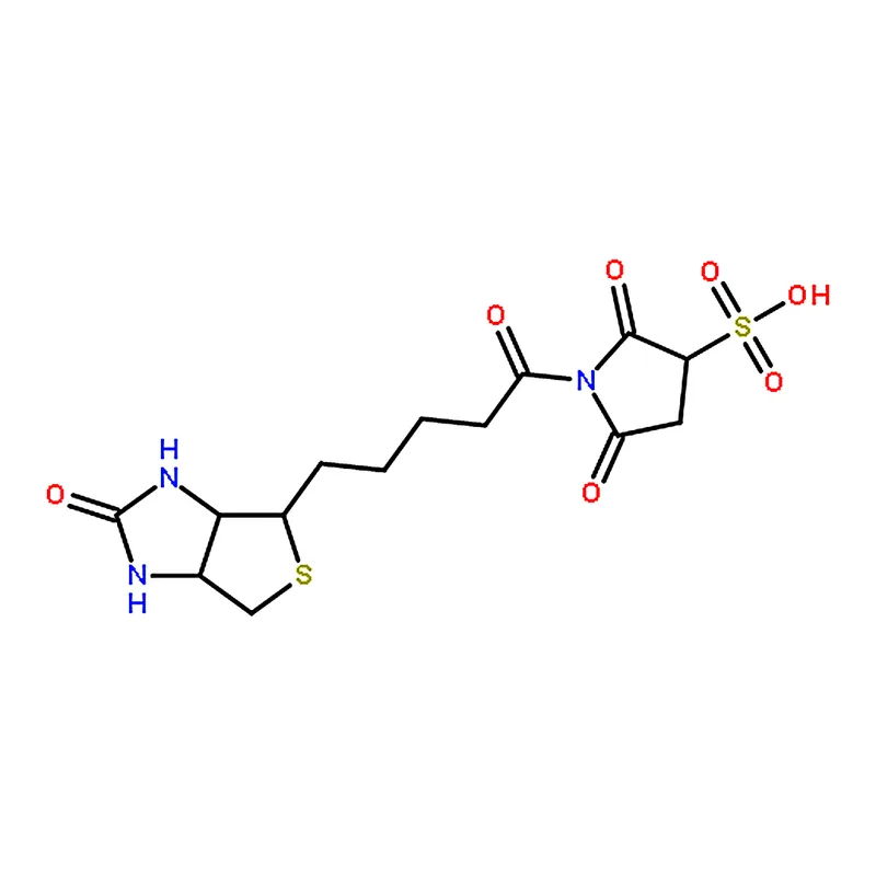 RHAWN Sulfo-NHS-Biotin