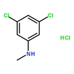 RHAWN 3,5-Dichloro-N-methylaniline hydrochloride