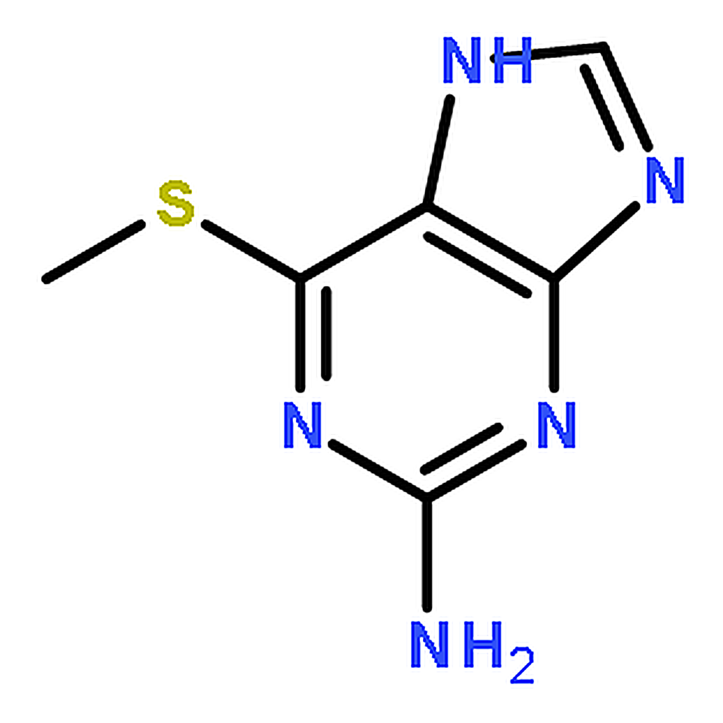 RHAWN 6-(Methylthio)-7H-purin-2-amine
