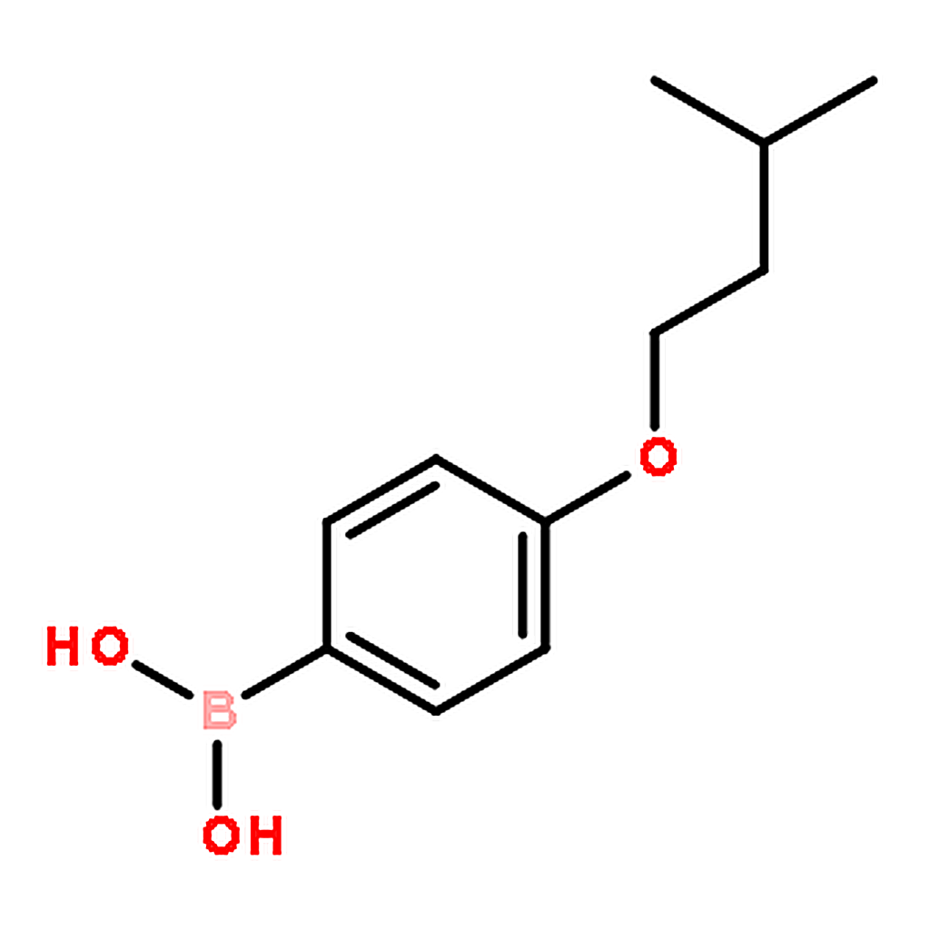 RHAWN (4-(Isopentyloxy)phenyl)boronic acid