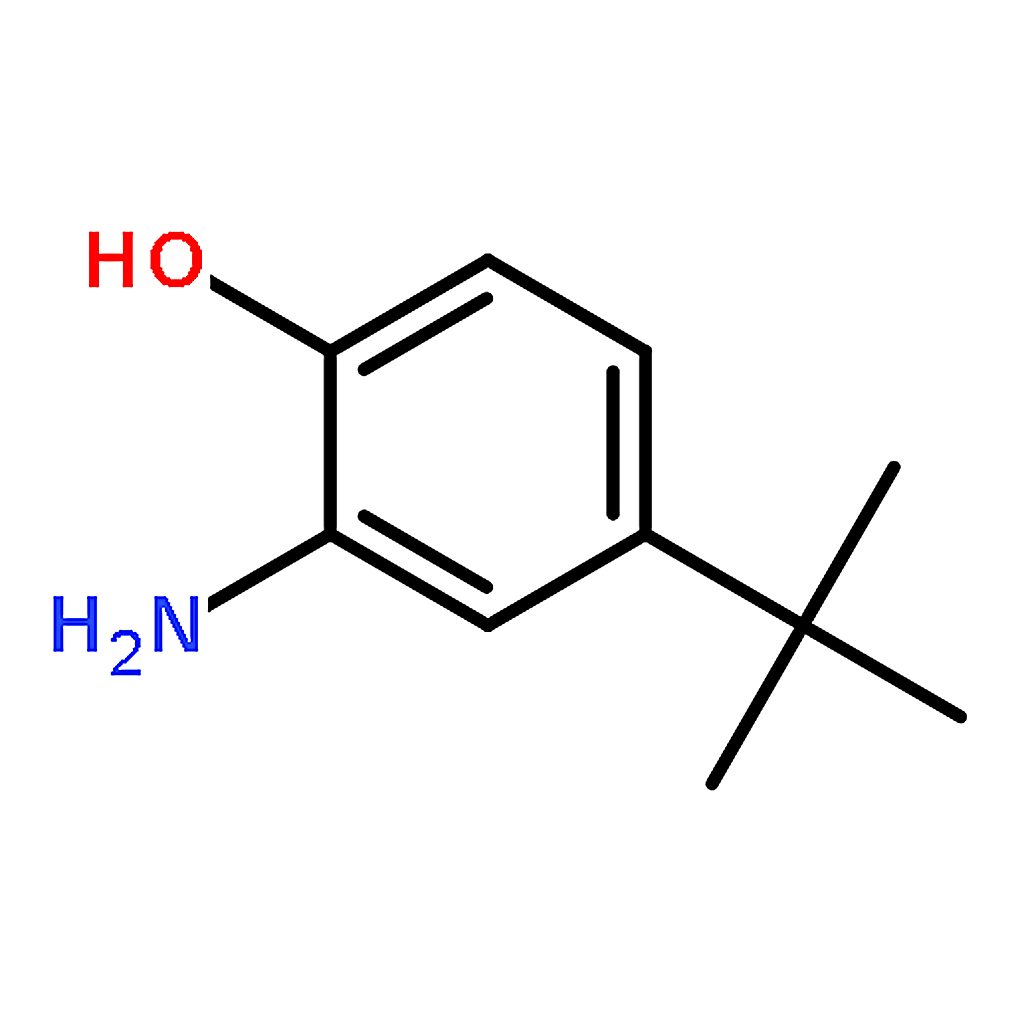 RHAWN 2-Amino-4-tert-butylphenol