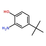RHAWN 2-Amino-4-tert-butylphenol