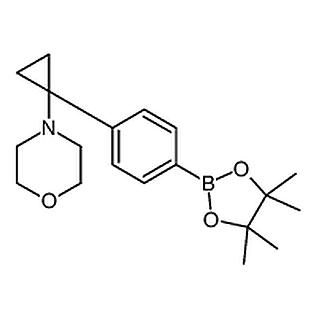 RHAWN 4-(1-(4-(4，4，5，5-Tetramethyl-1，3，2-dioxaborolan-2-yl)phenyl)cyclopropyl)morpholine