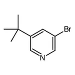 RHAWN 3-Bromo-5-(tert-butyl)pyridine