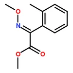 RHAWN (E)-Methyl 2-(methoxyimino)-2-(o-tolyl)acetate