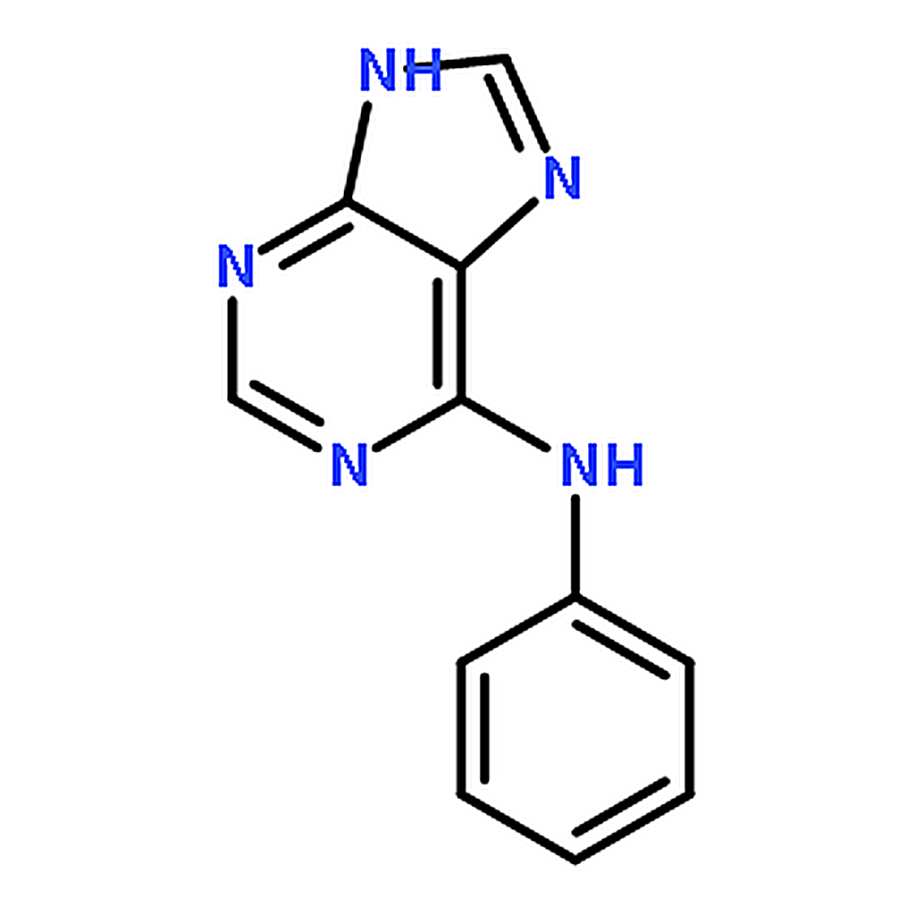 RHAWN Phenyl(9H-purin-6-yl)amine