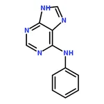 RHAWN Phenyl(9H-purin-6-yl)amine