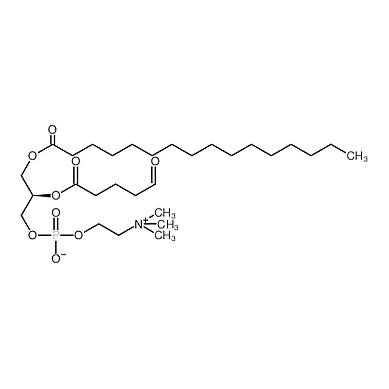 RHAWN 1-palmitoyl-2-(5'-oxo-valeroyl)-sn-glycero-3-phosphocholine