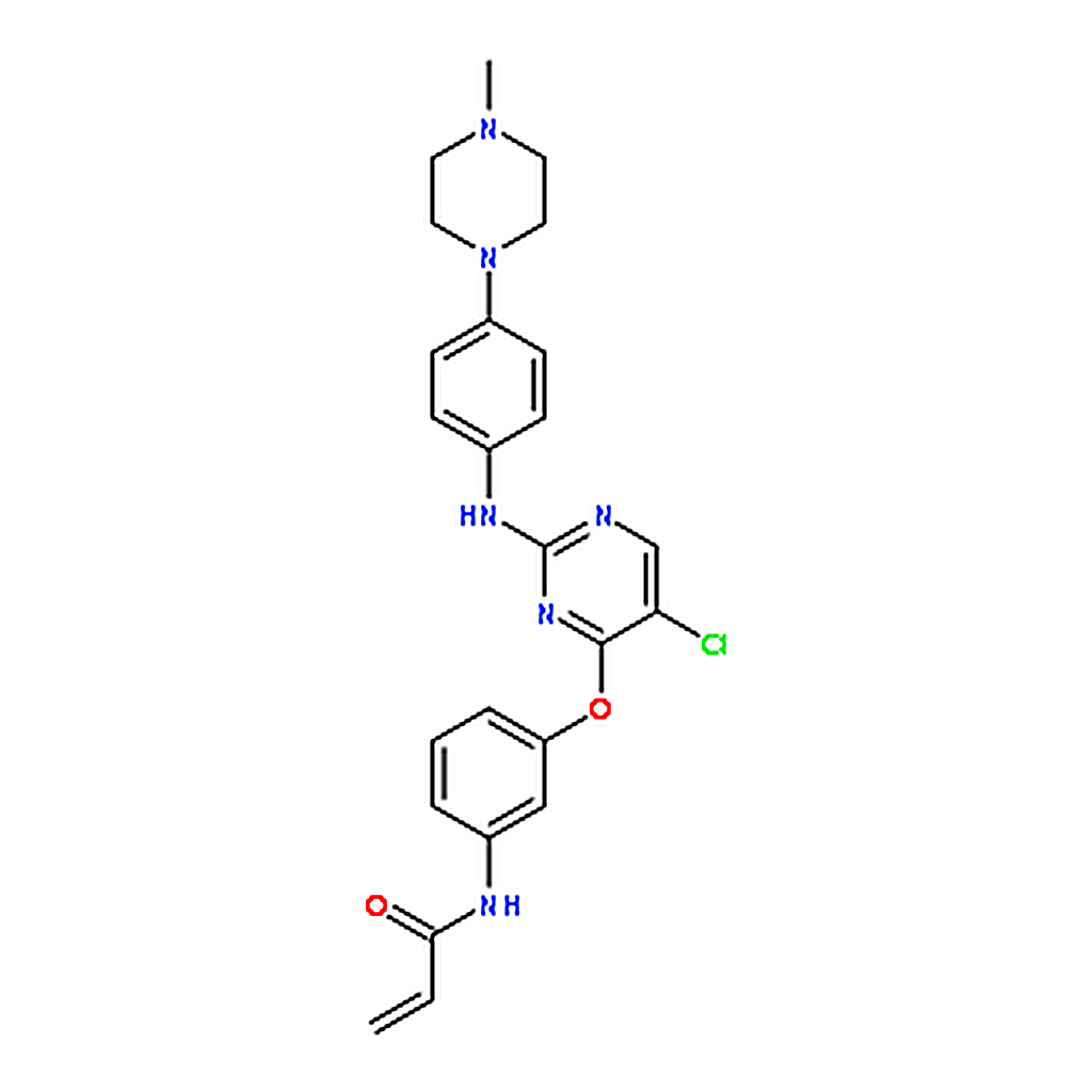 RHAWN WZ3146