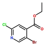 RHAWN Ethyl 5-Bromo-2-Chloroisonicotinate