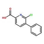 RHAWN 6-Chloro-5-phenylpicolinic acid