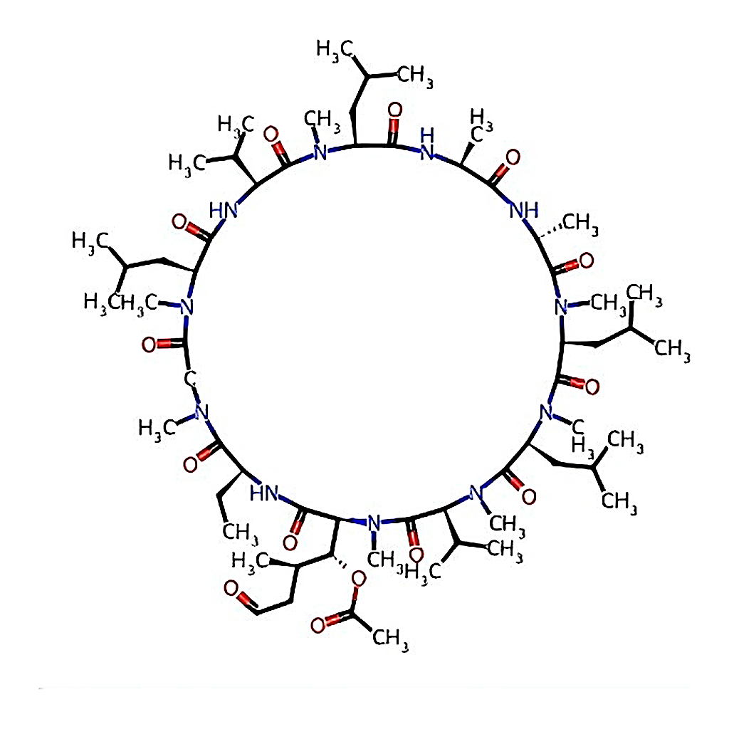 RHAWN 6-[(3R，4R)-3-(Acetyloxy)-N，4-dimethyl-6-oxo-L-norleucine] Cyclosporin A