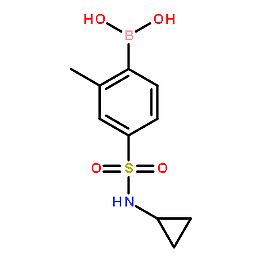 RHAWN (4-(N-Cyclopropylsulfamoyl)-2-methylphenyl)boronicacid