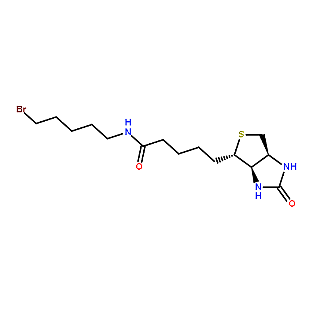 RHAWN Biotin 5-Bromopentylamide