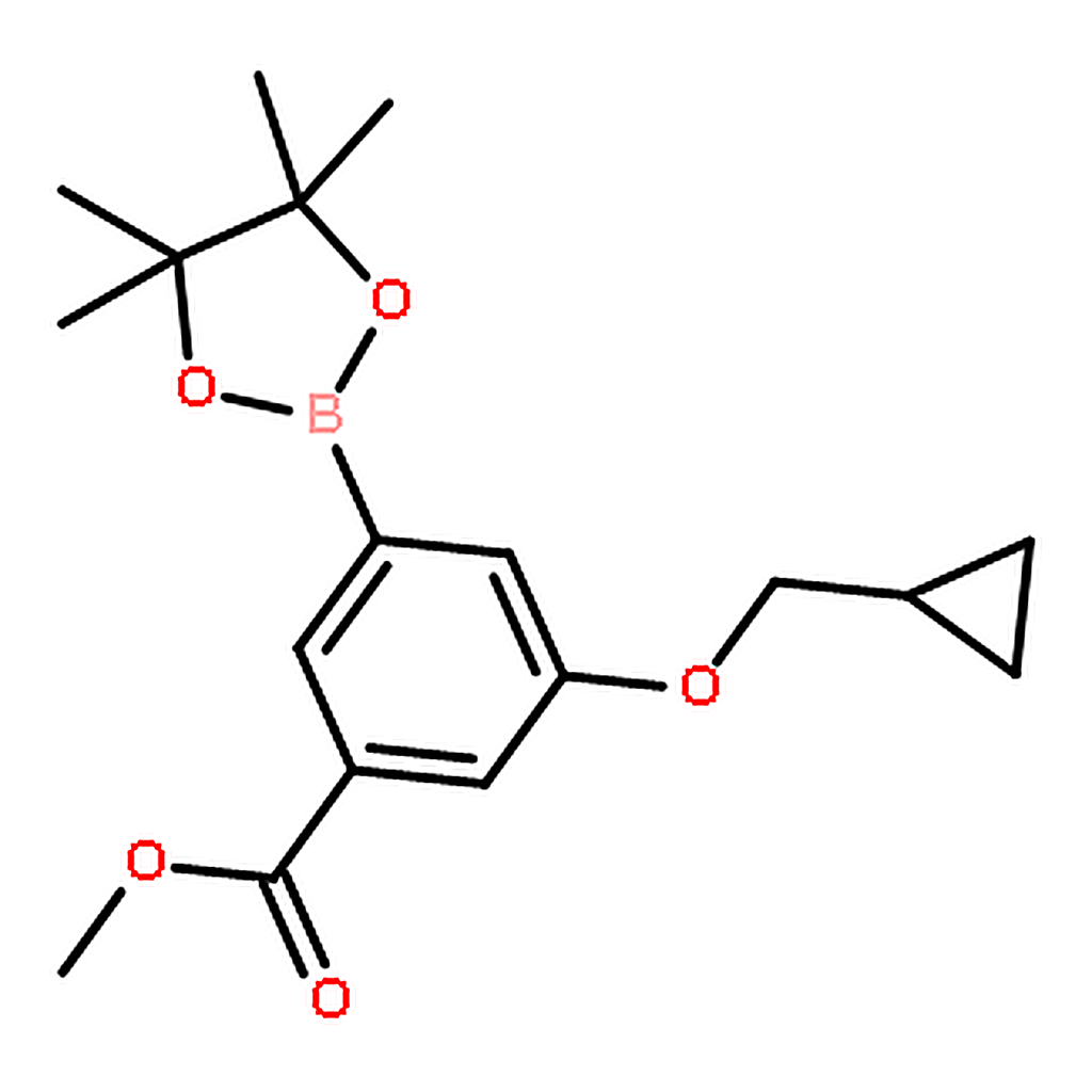 RHAWN Methyl3-(cyclopropylmethoxy)-5-(4，4，5，5-tetramethyl-1，3，2-dioxaborolan-2-yl)benzoate