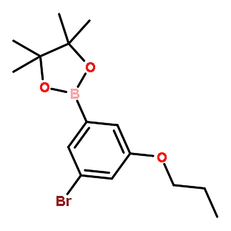RHAWN 2-(3-BROMO-5-PROPOXYPHENYL)-4,4,5,5-TETRAMETHYL-1,3,2-DIOXABOROLANE