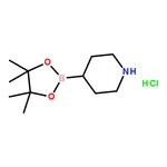 RHAWN piperidine-4-boronic acid pinacol ester HCl
