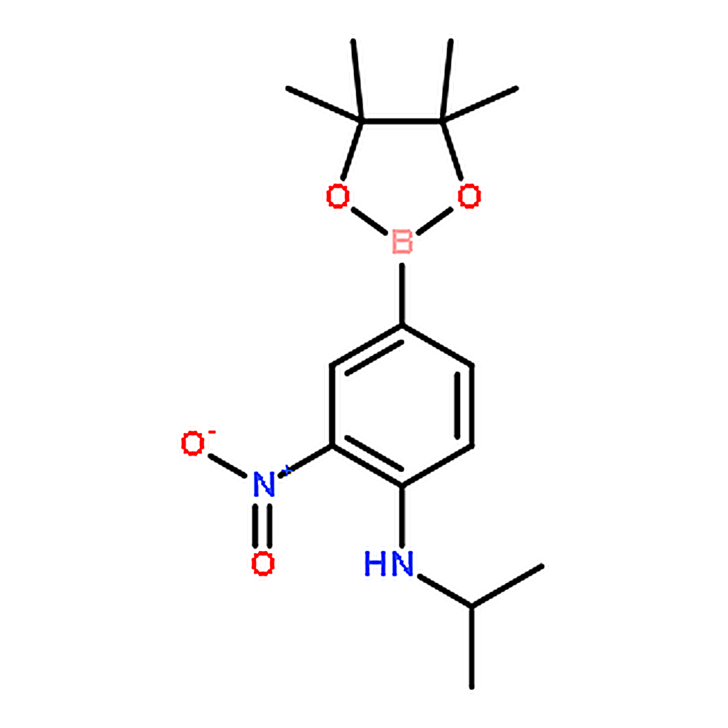 RHAWN Pinacol 3-nitro-4-isopropylaminophenylboronic acid
