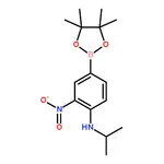 RHAWN Pinacol 3-nitro-4-isopropylaminophenylboronic acid