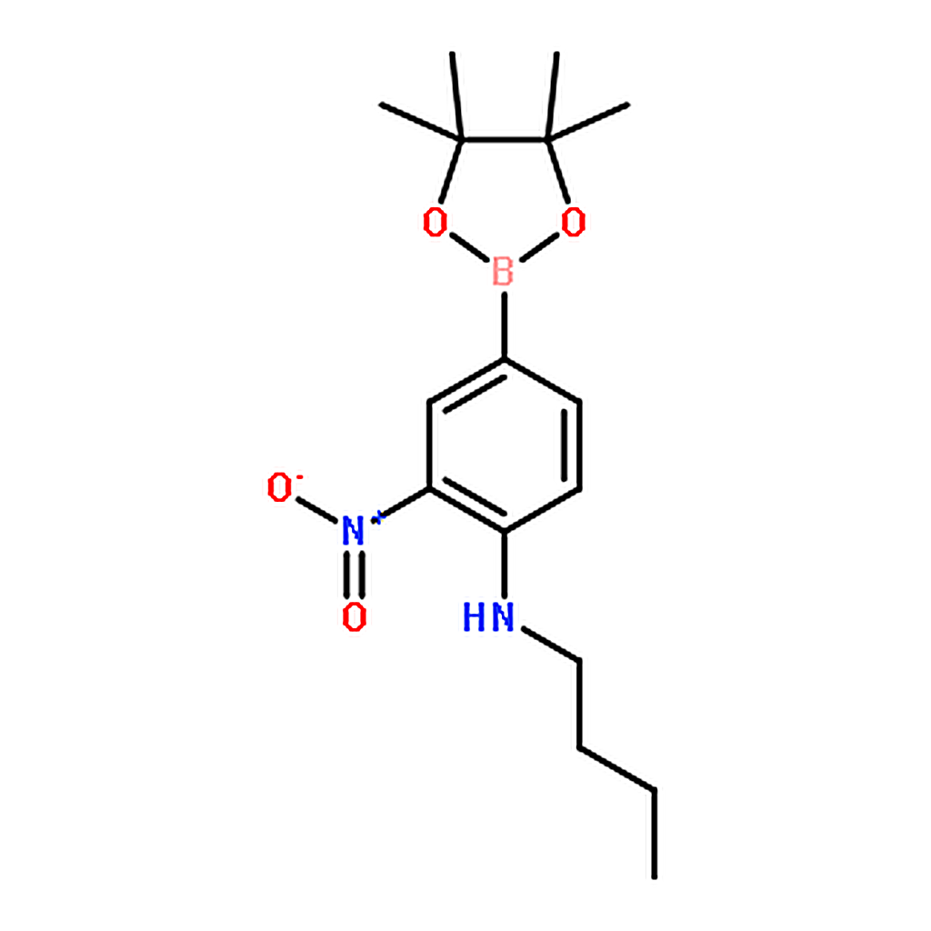 RHAWN Pinacol 3-nitro-4-(butylamino) phenylboronic acid