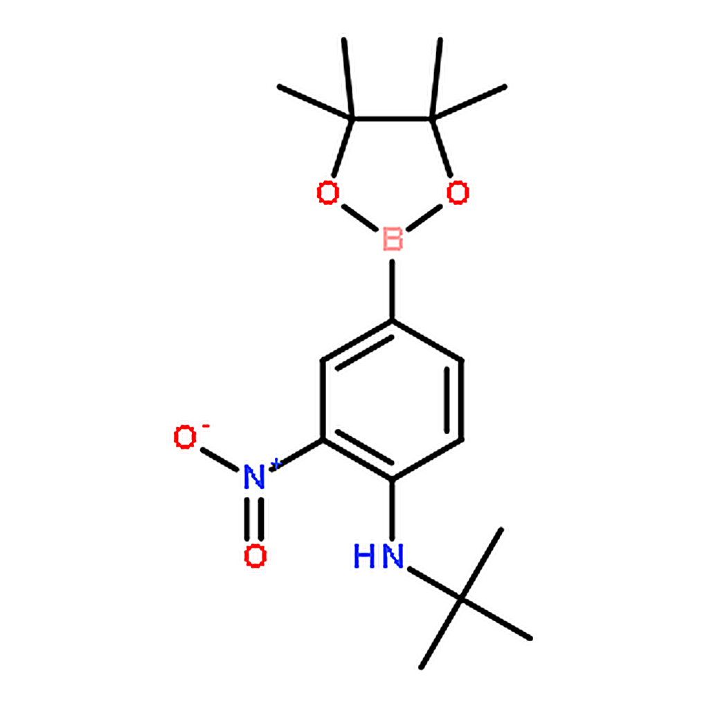 RHAWN 4-(N-tert-butylamino)-3-nitrophenylboronic acid pinacol ester